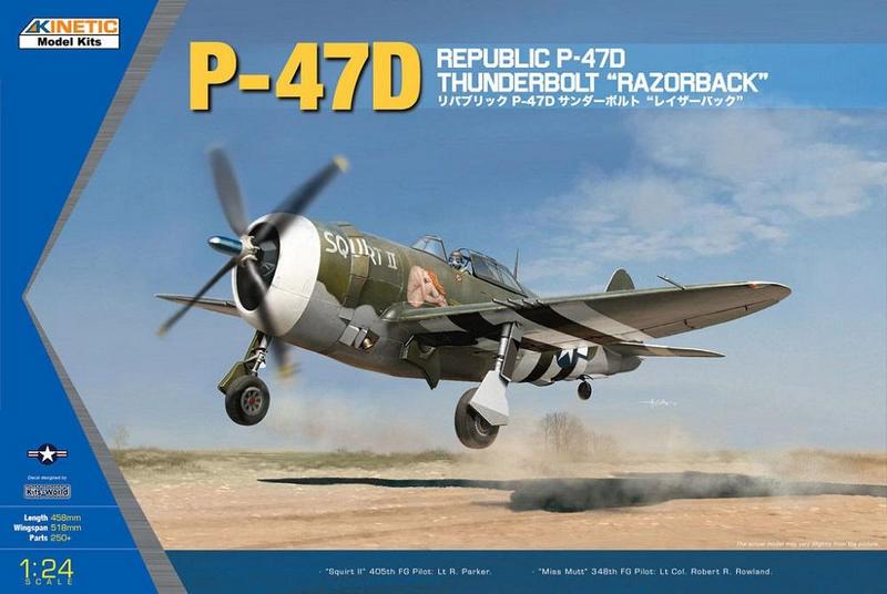 K3208 REPUBLIC P-47D THUNDERBOLT RAZORBACK <div style=display:none>G2B5303208</div>