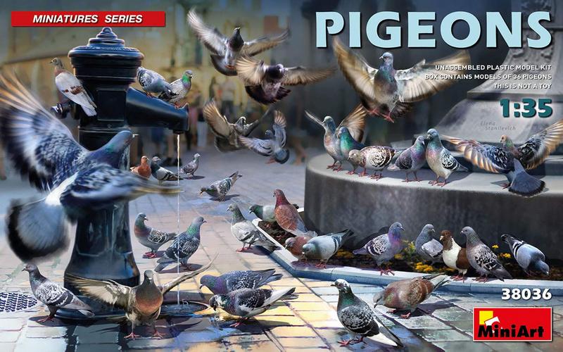 MT38036 PIGEONS X 36 <DIV STYLE=DISPLAY:NONE>G2B6469036</DIV>